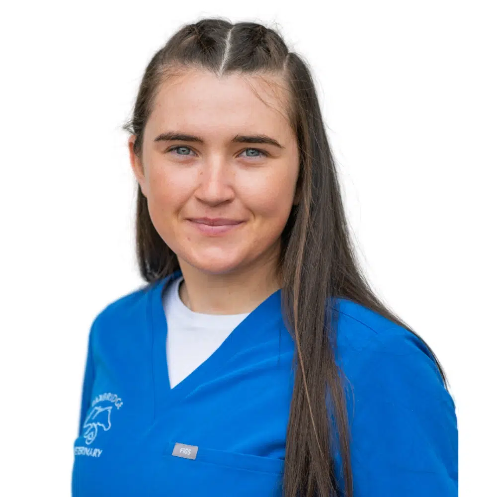 Rebecca Hurley